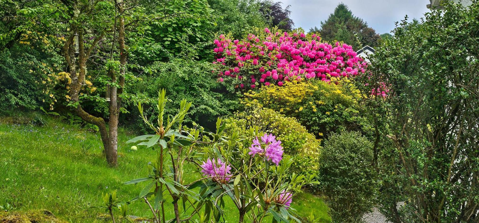 Bed and Breakfast Ards House Oban Exterior foto